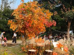 -HERRE·FARM 赫尔露营农场·团建聚会包场