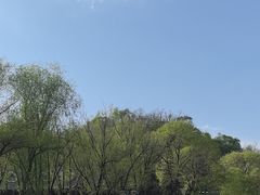 -高尔山公园
