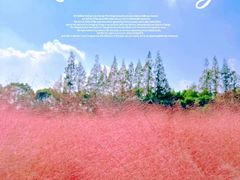 -嘉北郊野公园