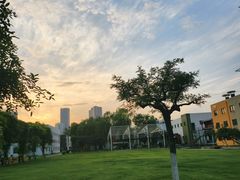 -大望京公园