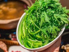 -邹开喜·炭炉鸡煲·海鲜火锅(虹口足球场店)