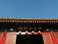 -八大处公园