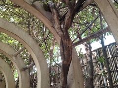 -徐家汇源景区-衡山公园