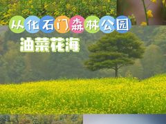 -广州市石门国家森林公园
