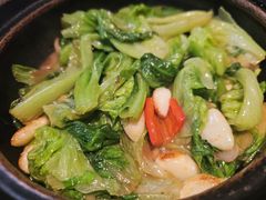 -煲煲好(朝阳门店)