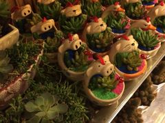 iphone_upload_pic-大耳象东南亚风情餐厅(月湖公园店)