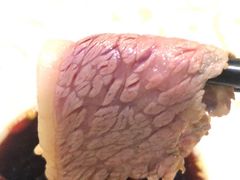 -百利鸽王(紫薇路店)