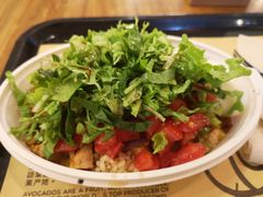 -油梨树 AVOCADO TREE(亮马桥店)