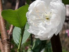 -桃花涧