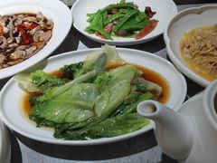 -老绍兴养和饭店(向阳不夜城店)