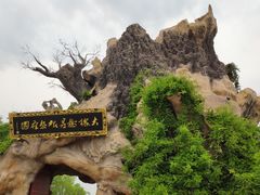 -大槐树寻根祭祖园