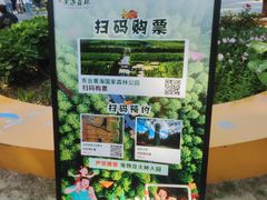 -黄海国家森林公园