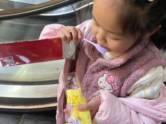 -GANSO  元祖食品(金渝大道店)