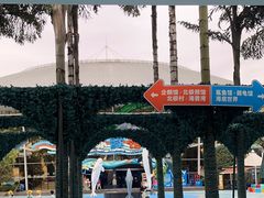 -海合安成都极地海洋公园