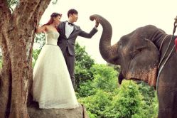 -戛纳印象摄影(潮拍定制馆)