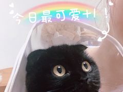 -Tomado绿色烘焙(大尧三路店)