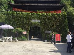 -夏霖九天银瀑风景区