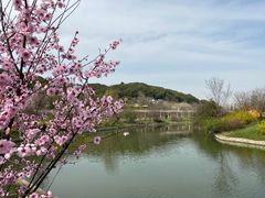 -苏州上方山国家森林公园