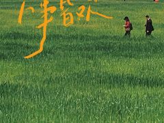 -白鹭湾湿地公园