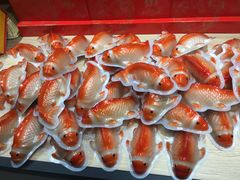 -乔家栅(大木桥路店)