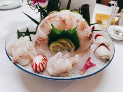 涮食河豚鱼-鲐赏河豚(长寿店)
