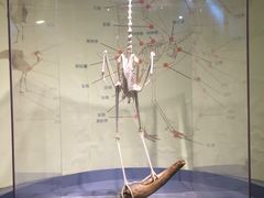 -盐城丹顶鹤湿地生态旅游区