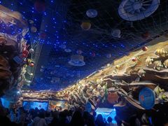 -芜湖新华联大白鲸海洋公园