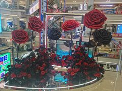 -红星美凯龙北京至尊MALL(东四环中路店)