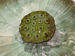 -人间采蜜(海信广场店)