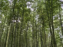 -山湖温泉
