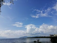 -野菌皇海景野生菌火锅(滨海大道店)