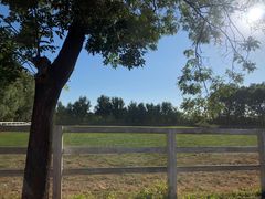 -北京群众马术培训基地