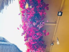 -成都娃娃花园餐厅 (南艺旗舰店)