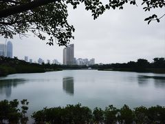 -万绿园
