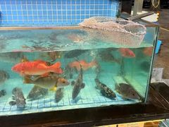 -荔城生鲜盛宴(番禺旗舰店)