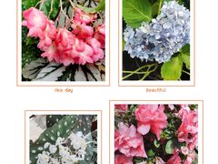 -中国科学院华南植物园