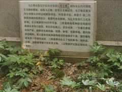 -马王堆汉墓遗址