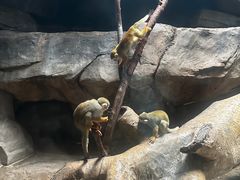 -蓬莱欧乐堡海洋极地世界