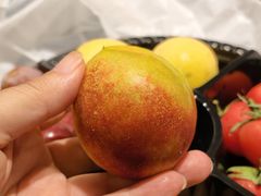 -渔舶汇蒸汽活海鲜·榴莲自助(领展中心城店)