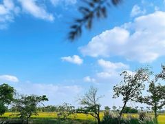 -嘉北郊野公园