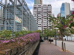 -九龙公园
