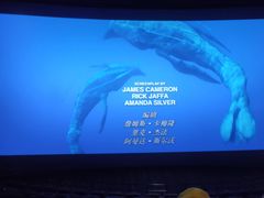 -百丽宫影城(CGS激光苏宁广场店)