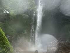-莫里热带雨林景区