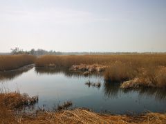 -野鸭湖国家湿地公园