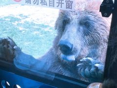 -北京野生动物园