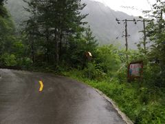 -黎坪国家森林公园