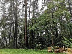 -生态园山庄(森林公园店)