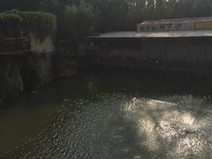 -金穗园温泉酒店