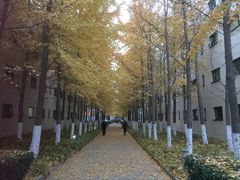 -北京国家会计学院