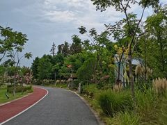 -上海长兴岛郊野公园